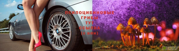 гидропоника Верхнеуральск