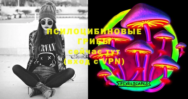 таблы Горняк